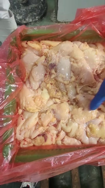 沂南县老鸡板油，纯干货，出油最少8个以上，食品级