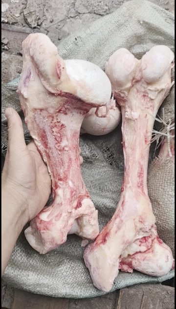 纯干牛棒骨