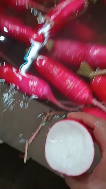 红皮萝卜 产地直发 新鲜根茎菜