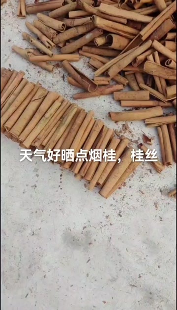 平南县烟桂