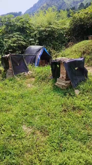 马边县农村正宗土蜂蜜