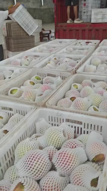 会理市到货了