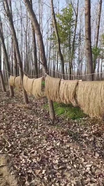 合肥纯手工粉条