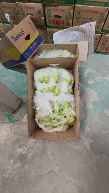 精品一级蕉零损耗包售后，感兴趣的老板联系我保质保量全国发货！