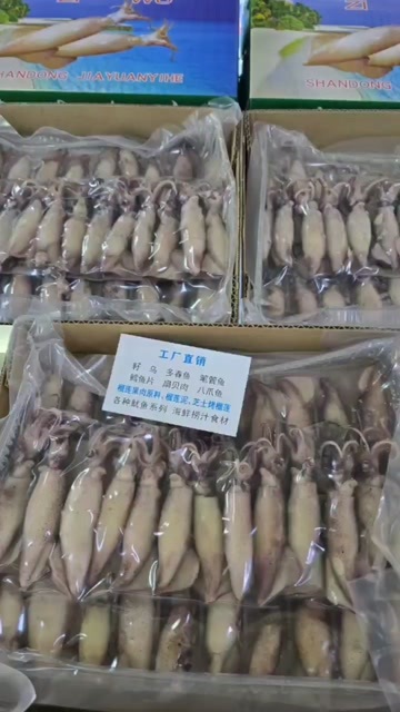 济南捞汁小海鲜 食材小籽乌 0.5 毛钱左右一条​加州原料