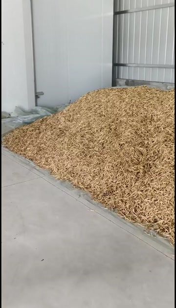 环县甘肃庆阳特产黄花菜