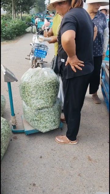 莘县韭菜花