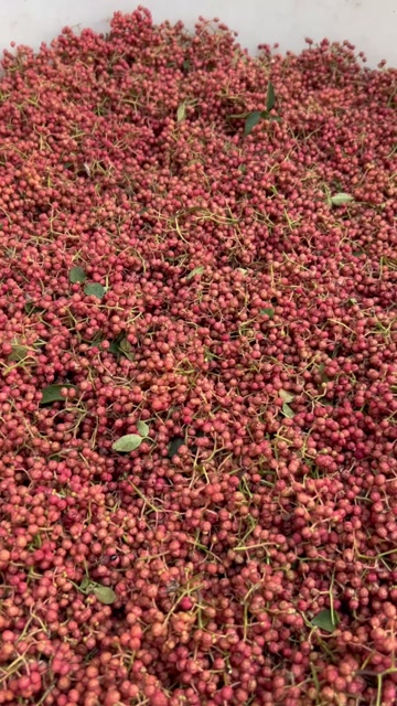 陕西大红袍花椒