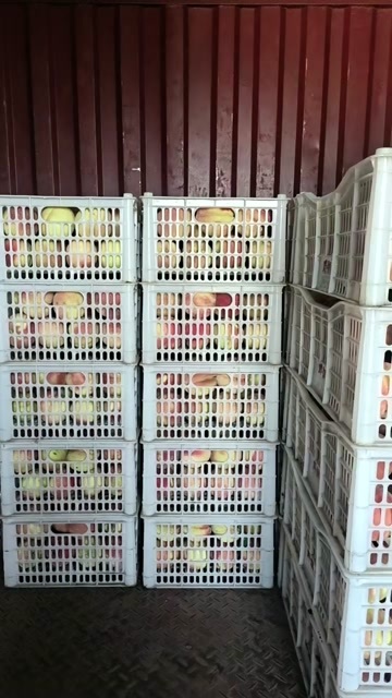 辛集市北京十四商品桃不套袋的颜色好口感好大量有货有意老板滴滴
