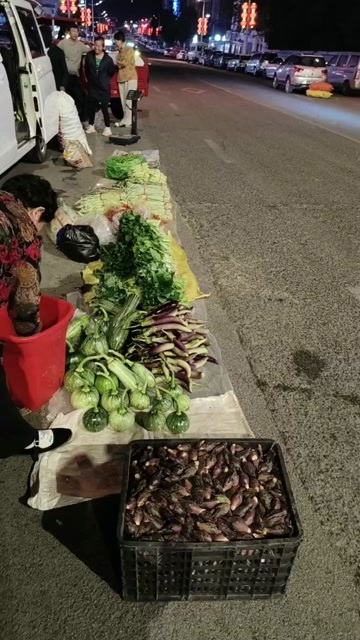 贵阳贵州高山洋荷