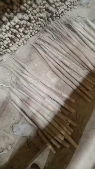 产地山药大量供应