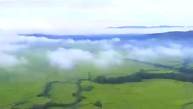 哈尔滨五常稻花香2号10斤一袋新米真空包装现货！