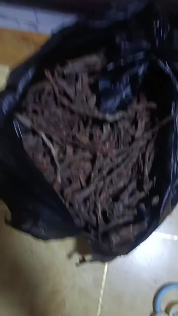 泸水市高海拔野生竹笋干货