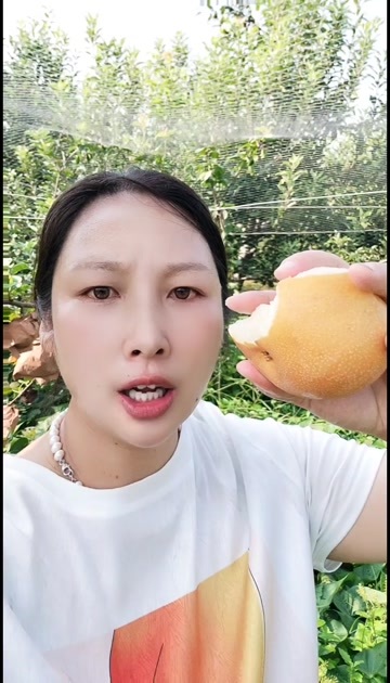 费县山东费县秋月梨 新鲜水果核果仁果类 梨类优选