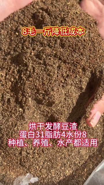 郓城县烘干发酵豆渣，高温烘干，恒温发酵