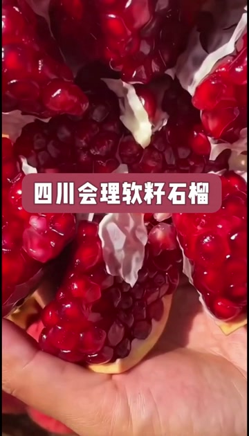 〖会理地理标志〗四川会理突尼斯软籽石榴产地直发礼盒装精品
