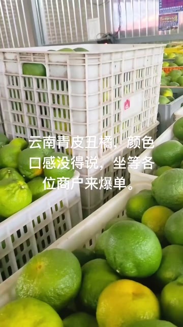华宁县云南青皮丑橘，口感颜色都已经上来了，坐等各位商户来爆单。