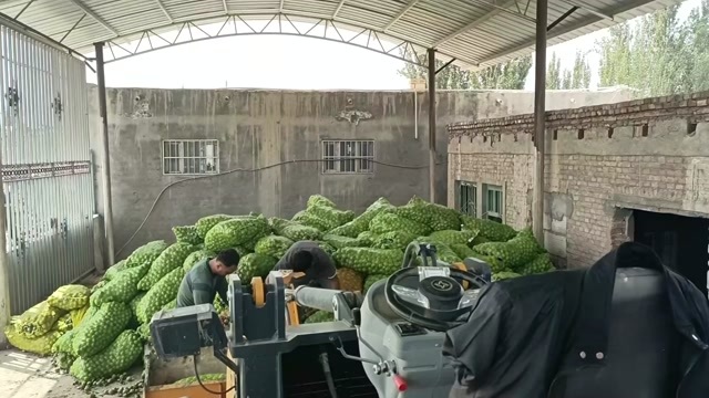 阿克苏市新疆纸皮核桃