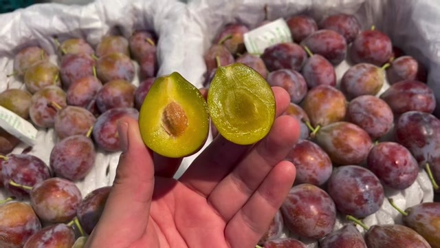 南宁新疆西梅香甜可口，汁多皮薄