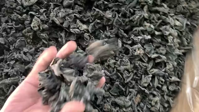 平顶山木耳大量批发，电商欢迎来合作