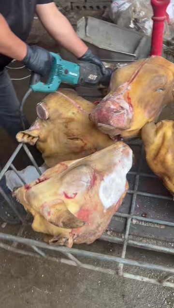 阳信县火烧毛牛头