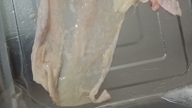 保定鸡胸皮，白条鸡分割品，整张鸡胸皮，