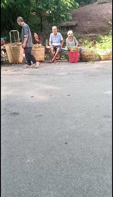 泸州泸州龙眼