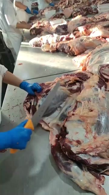 锡林浩特锡林浩特天然草地牛排