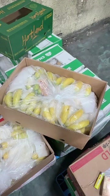 上海菲律宾香蕉