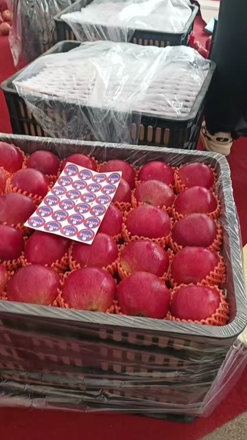 昭通云南昭通红露冰糖心苹果大量上市脆甜多汁