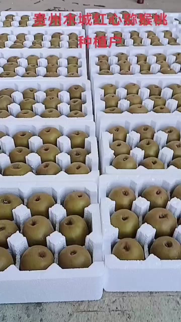 六盘水水城红心猕猴桃