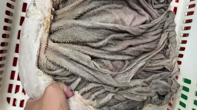 汕头精品鲜百叶，去油去脏，支持定制，即开即用适合火锅/川菜/中餐