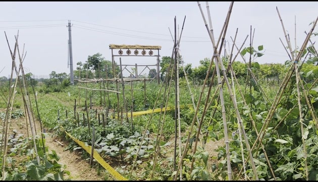成熟农场优价转让或出租