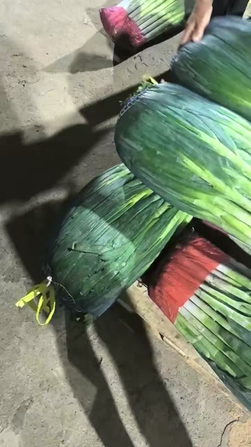大通县青海大葱上市了，自家种的价格美丽