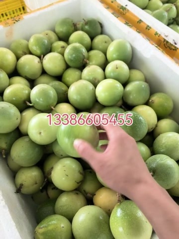 灵山县钦蜜九号黄金百香果