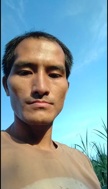 忧遁草