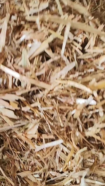 小麦桔杆，二次除尘小套袋麦草，无尘无土无霉变