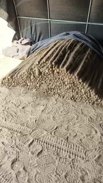 西施山药批发