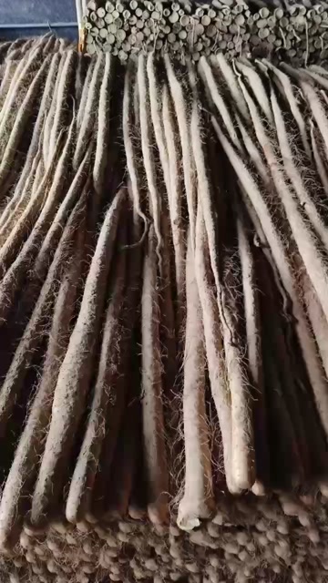 西施山药批发