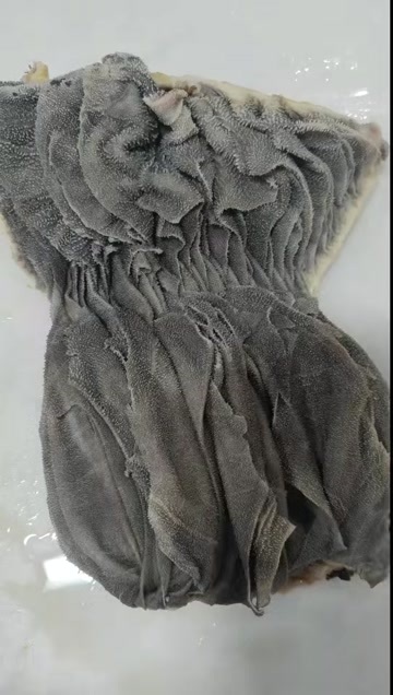 牛百叶 掉毛包退