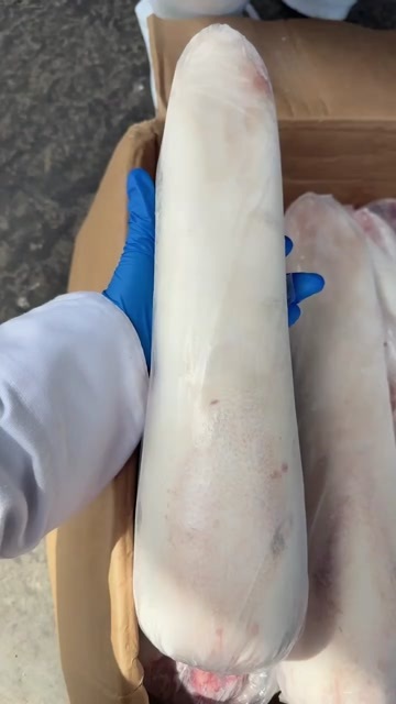 大厂县国产牛舌，好白净，炖卤酱牛舌烧烤。清真食品。