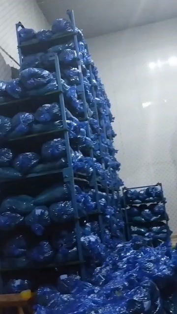 梁山县白帽蒜薹