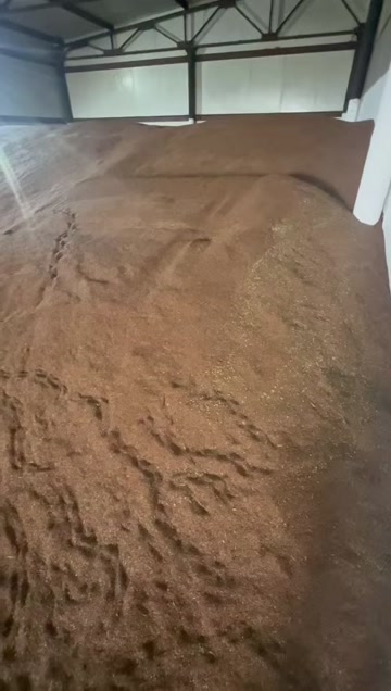 超低价格！！！新亚麻籽仅有两千吨一次性急售，欢迎咨询洽谈