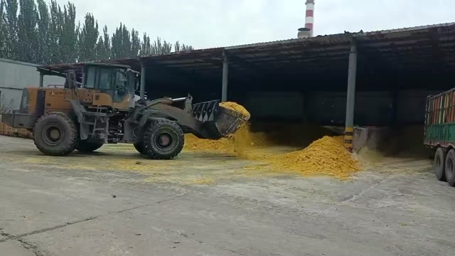 呼和浩特饲料原料玉米糖渣