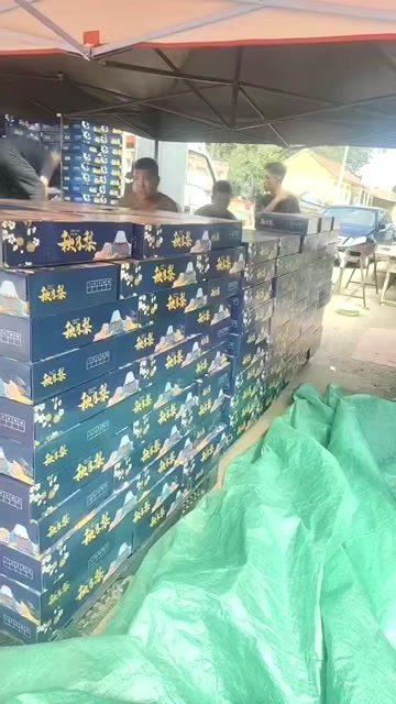 莱阳秋月梨产地现摘现发