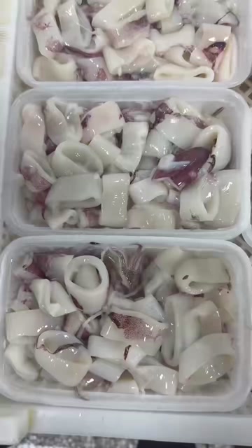 东山鱿鱼段 鱿鱼圈