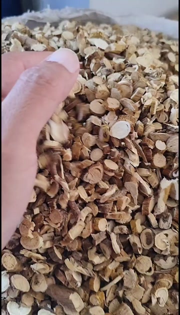 苦参 各种规格苦参切片齐全 批发零售