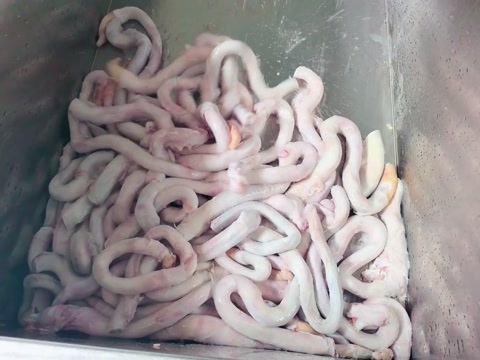 牛鞭,加工厂福利。精修去根,去肉,去油。厂家直销,一手货源。