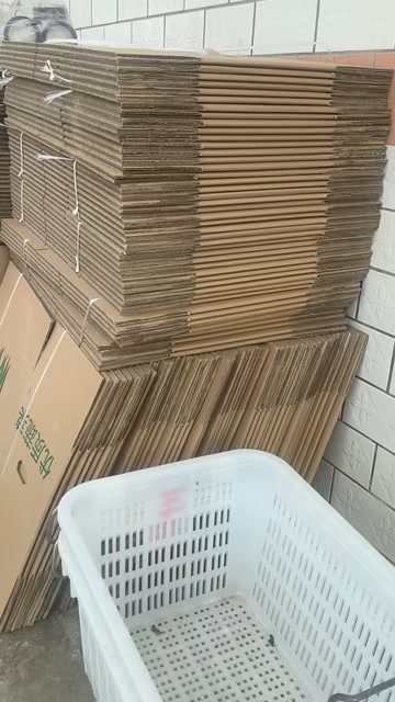 贵州黔东南紫云辣椒 芜湖椒 新鲜茄果类蔬菜产地直发