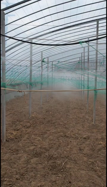 大棚自动打药机高压雾化机大棚消毒加湿温室大棚打药降温大棚增湿